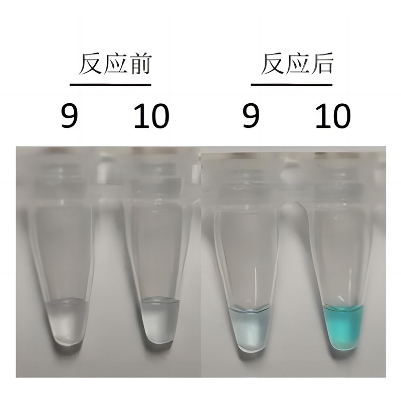 可视化LAMP