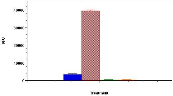 Caspase 3/7活性细胞凋亡检测试剂盒(绿色荧光) Caspase 3/7活性细胞凋亡检测试剂盒(绿色荧光)