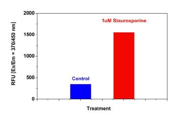 Caspase 8活性细胞凋亡检测试剂盒(蓝色荧光) Caspase 8活性细胞凋亡检测试剂盒(蓝色荧光)