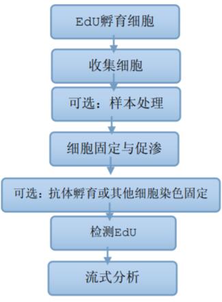 EdU流式检测工作流程图 EdU流式检测工作流程图