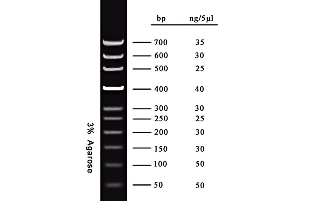 DNA Marker(50~700bp) DNA Marker(50~700bp)