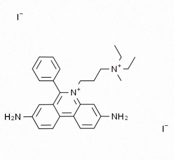 PI溶液(1mg/mL)