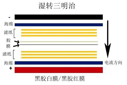 10×BN转膜缓冲液粉剂