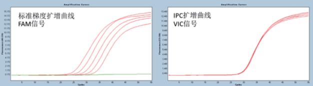 人基因组DNA定量试剂盒