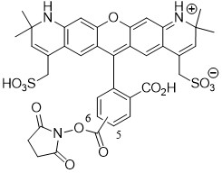 AF568-NHS酯