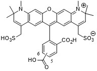AF594羧酸