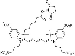 AF647-NHS酯