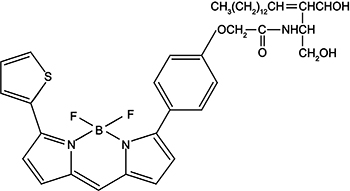 高尔基体红色荧光探针