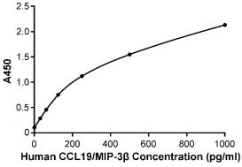 人CCL19/MIP-3β检测试剂盒(ELISA)