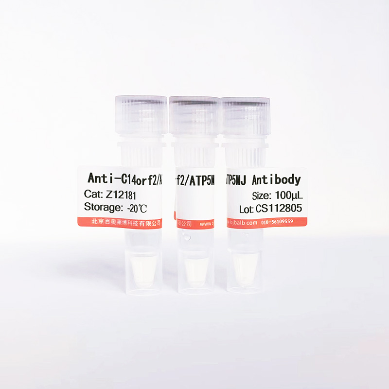 C14orf2/ATP5MJ抗体图片