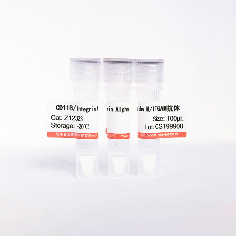 CD11B/Integrin Alpha M/ITGAM抗体图片 CD11B/Integrin Alpha M/ITGAM抗体图片