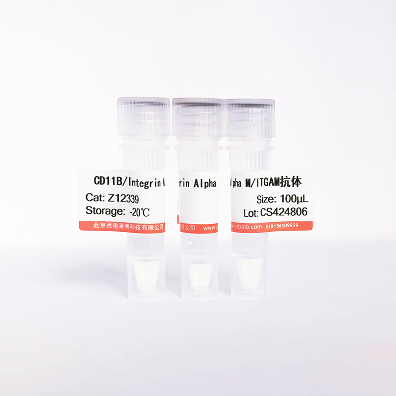 CD11B/Integrin Alpha M/ITGAM抗体图片 CD11B/Integrin Alpha M/ITGAM抗体图片
