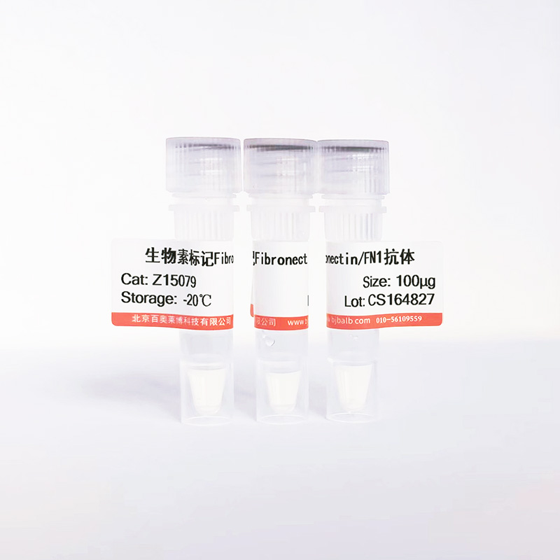 生物素标记Fibronectin/FN1抗体图片 生物素标记Fibronectin/FN1抗体图片
