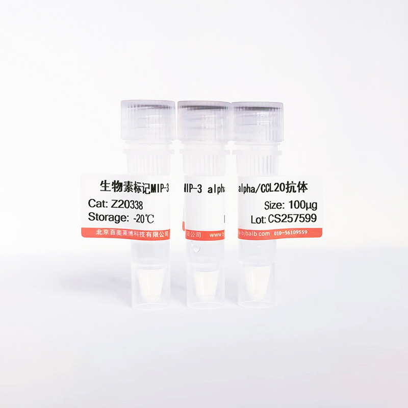 生物素标记MIP-3 alpha/CCL20抗体图片 生物素标记MIP-3 alpha/CCL20抗体图片