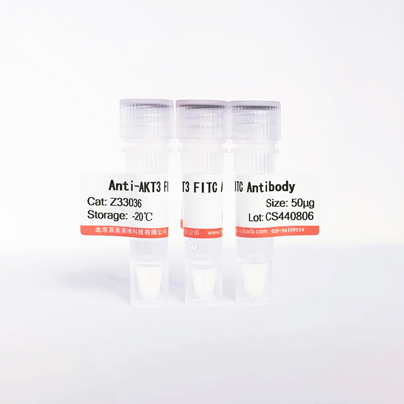 AKT3 FITC抗体图片 AKT3 FITC抗体图片