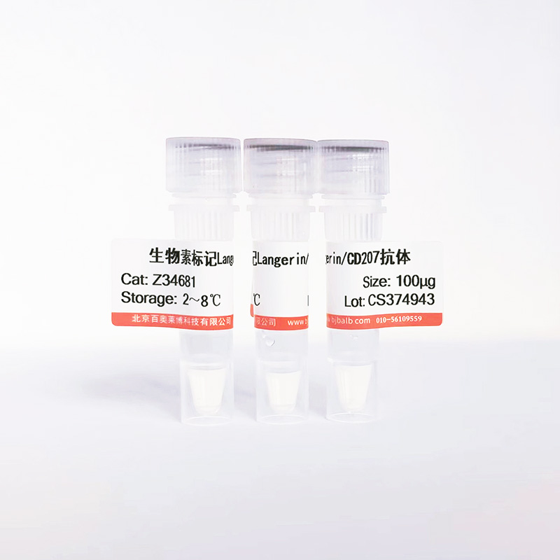 生物素标记Langerin/CD207抗体图片 生物素标记Langerin/CD207抗体图片