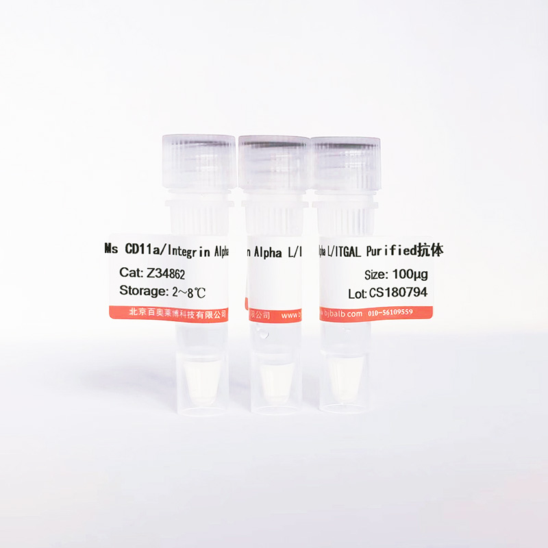 Ms CD11a/Integrin Alpha L/ITGAL Purified抗体图片 Ms CD11a/Integrin Alpha L/ITGAL Purified抗体图片