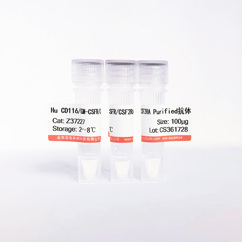 Hu CD116/GM-CSFR/CSF2RA Purified抗体图片 Hu CD116/GM-CSFR/CSF2RA Purified抗体图片