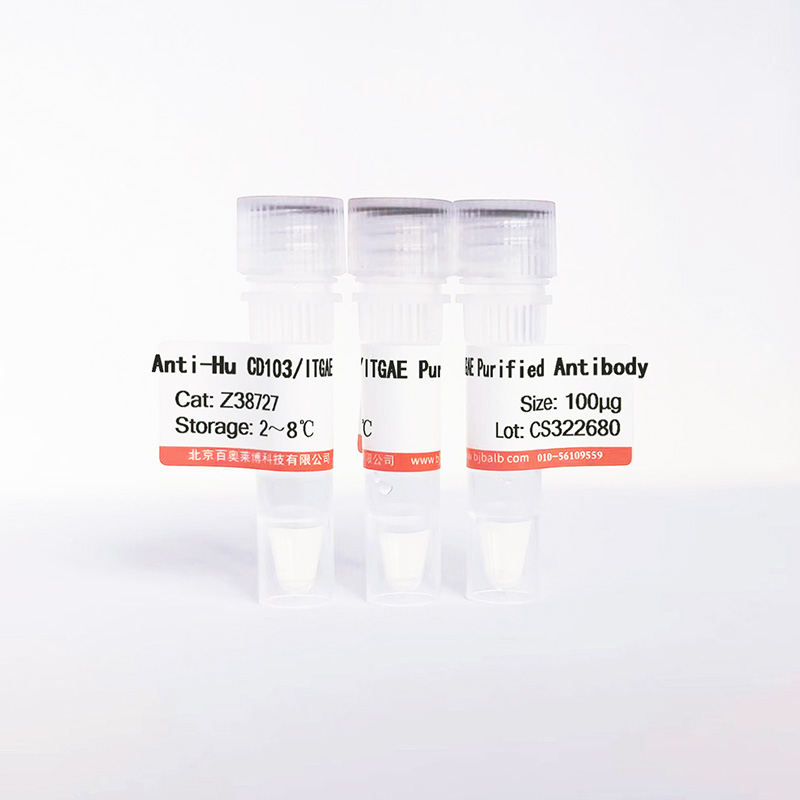 Hu CD103/ITGAE Purified抗体图片 Hu CD103/ITGAE Purified抗体图片